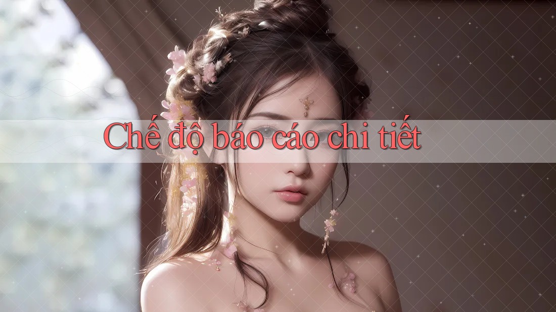 Chế độ báo cáo chi tiết Chế độ báo cáo chi tiết