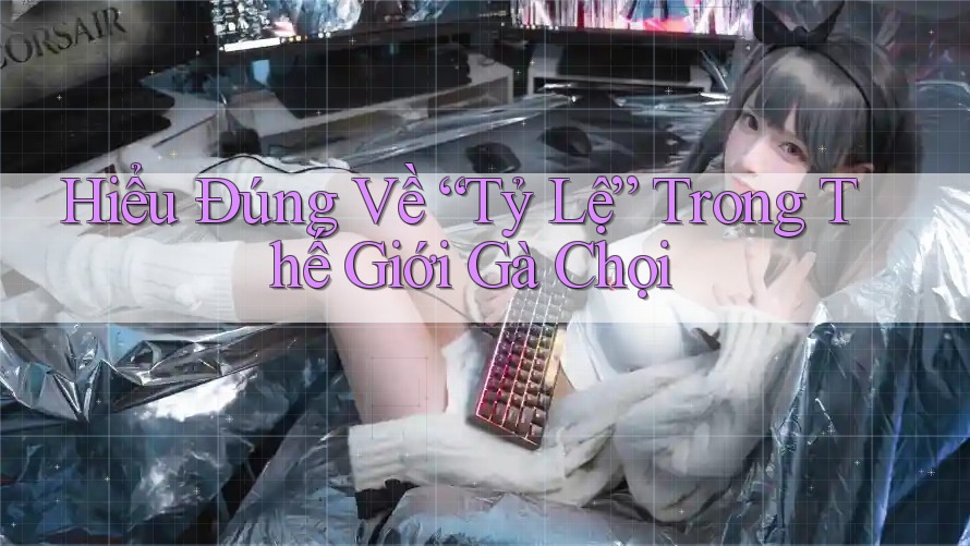Hiểu Đúng Về “Tỷ Lệ” Trong Thế Giới Gà Chọi Hiểu Đúng Về “Tỷ Lệ” Trong Thế Giới Gà Chọi