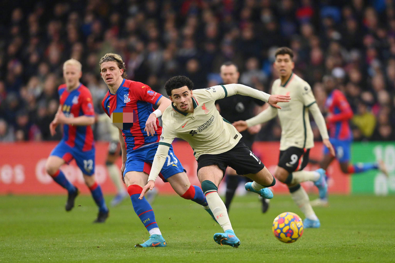 了选手们的 了选手们的